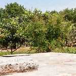 Helloapulia - Flora * Noci
