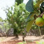 Helloapulia - Flora