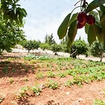 Helloapulia - Flora Noci