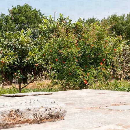 Helloapulia - Flora * نوتشي